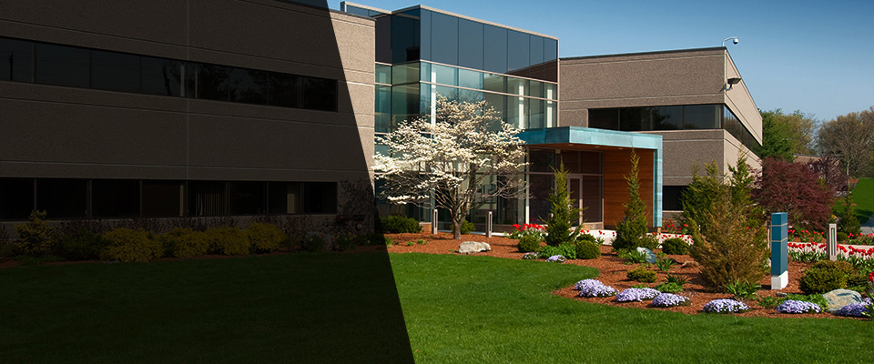 Lake Havasu City Landscapers