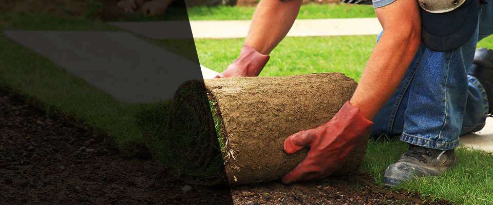 Lake Havasu City Landscapers